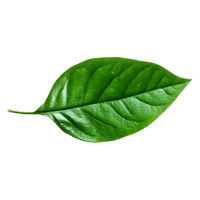 کود شیمیایی-2