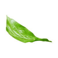 کود شیمیایی-3