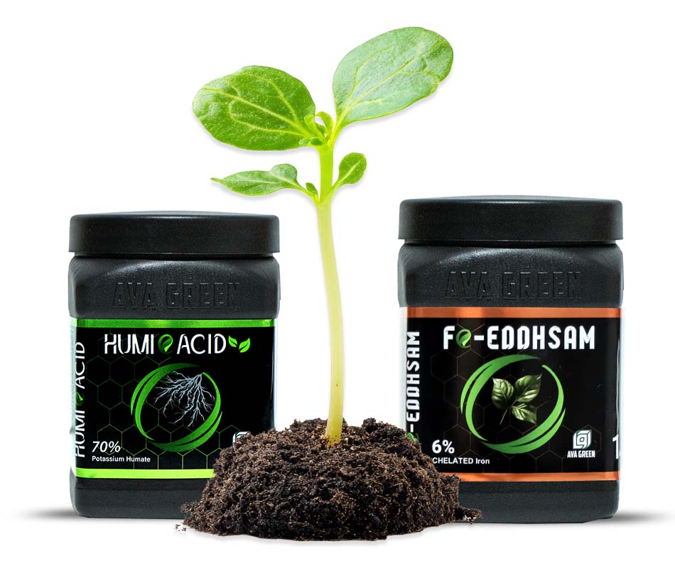 هیومیک اسید و کلات آهن آوا گرین