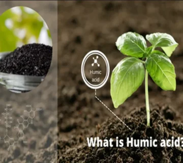 Humic e1792991962312 360x320