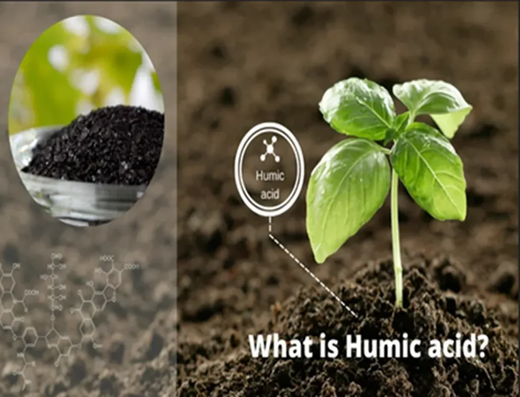 Humic e1792991962312